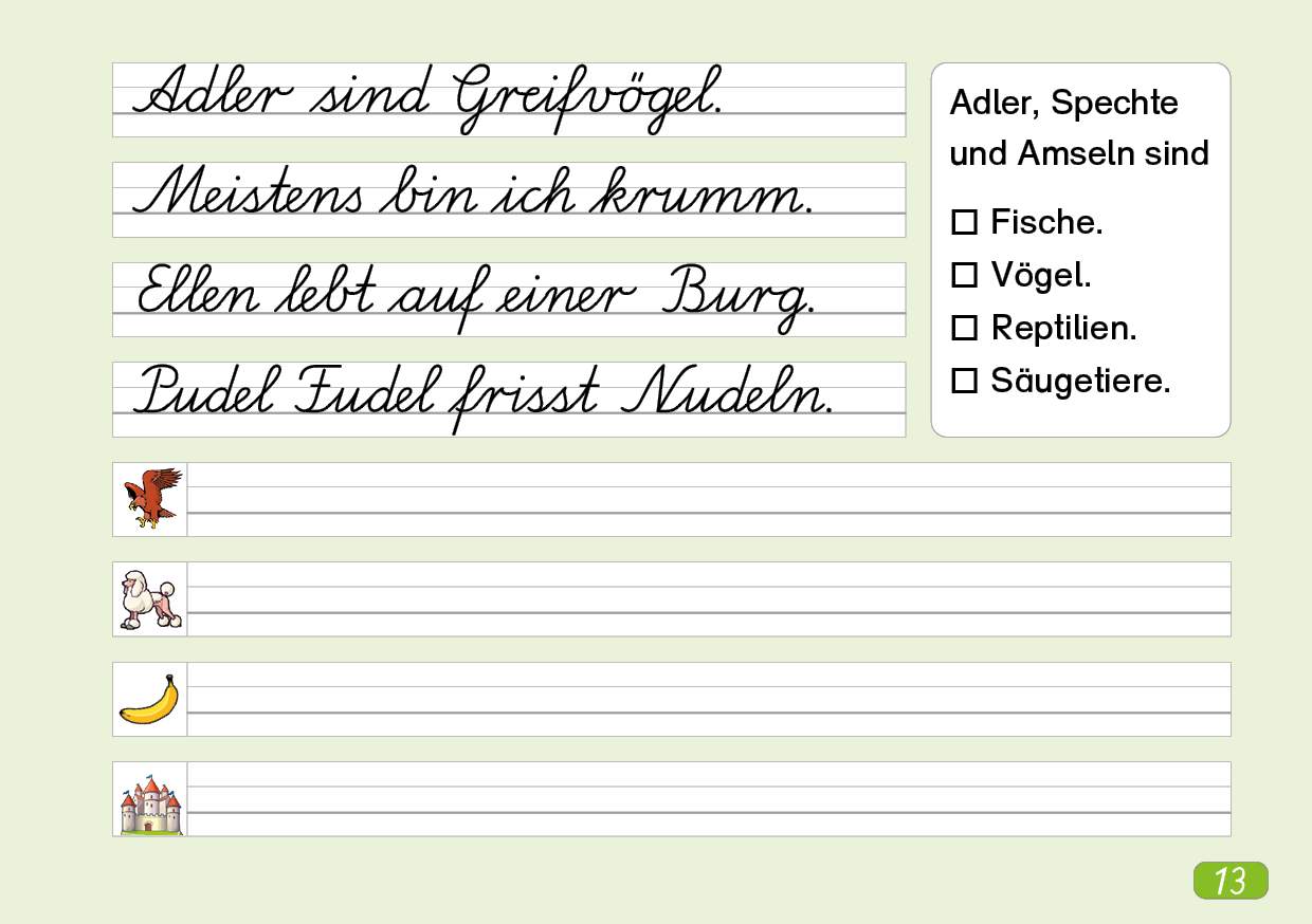 Schönschreibheft in Lateinischer Ausgangsschrift (rechtshändig)