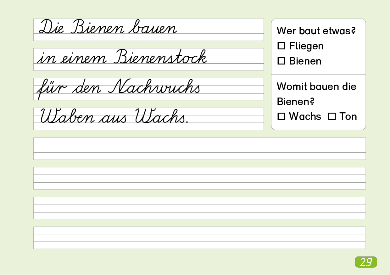 Schönschreibheft in Lateinischer Ausgangsschrift (rechtshändig)